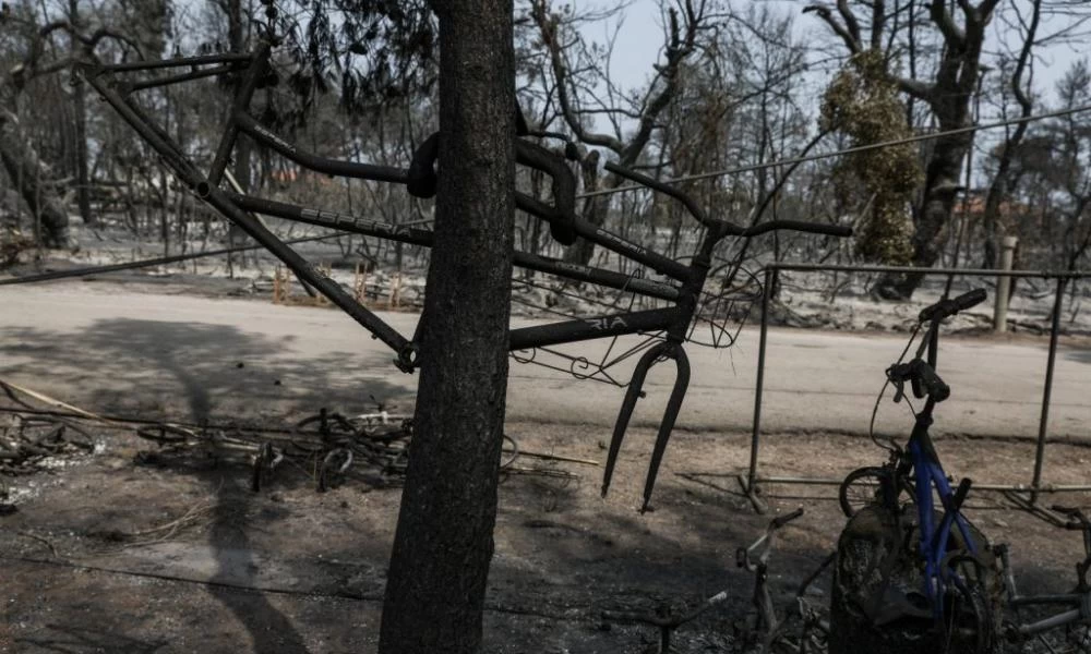 Πρόεδρος Κοινότητας Αφιδνών: Πρόκειται για οικολογική και οικονομική καταστροφή